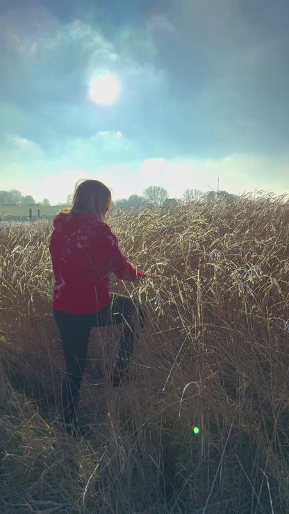 Special Edition: Team Love